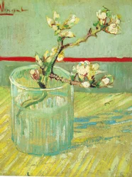 Blossoming Almond Branch in a Glass